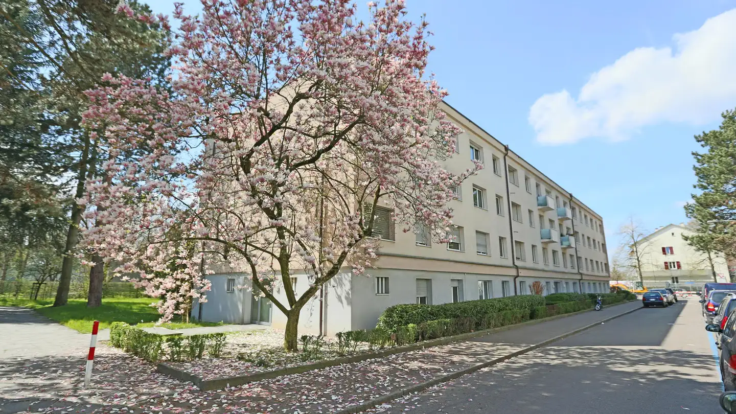 Appartement à louer - Roggenburgstrasse 33, 4055 Basel