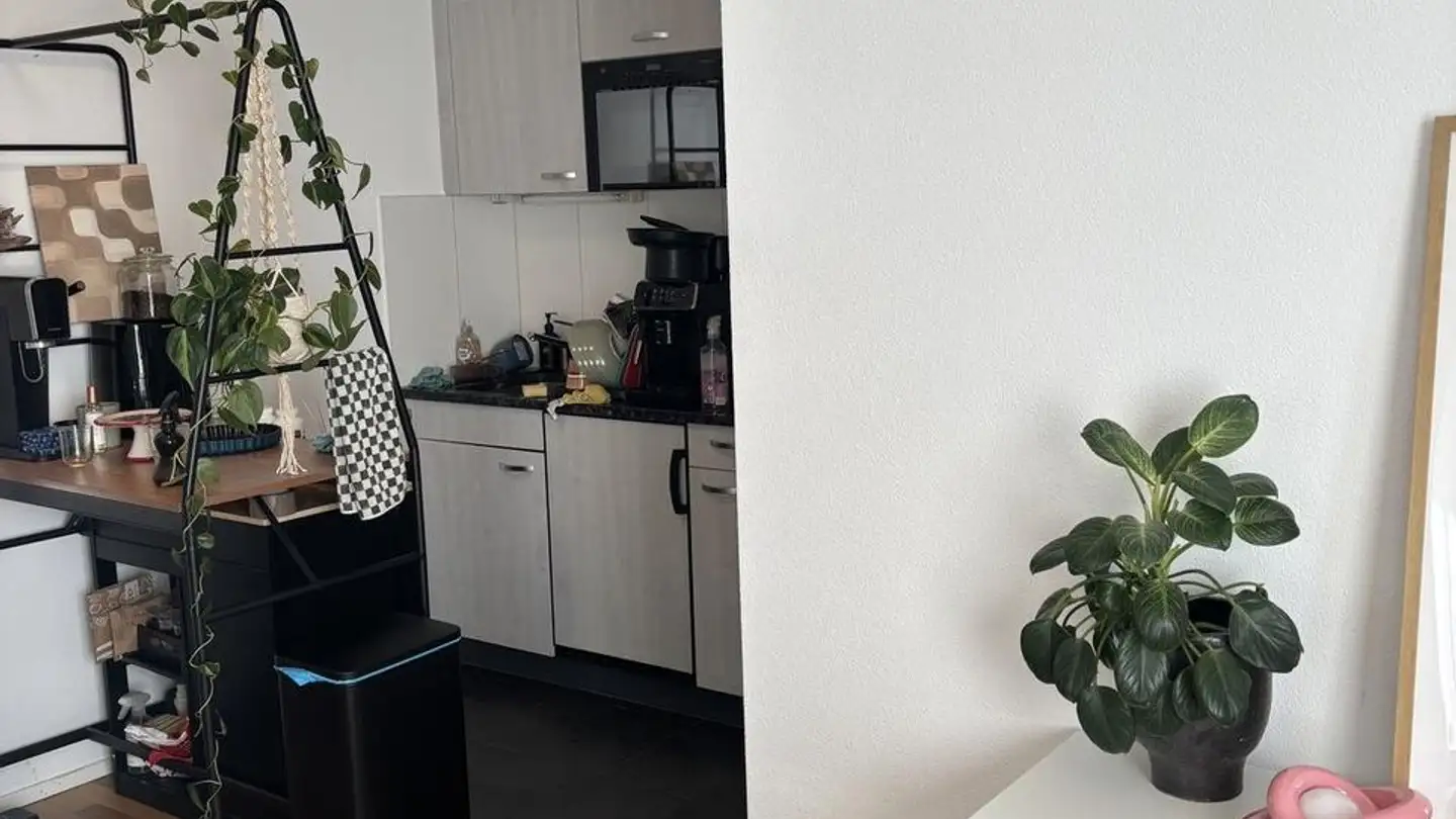 Appartamento in affitto - Route Wilhelm-Kaiser 11, 1700 Fribourg - Foto 4