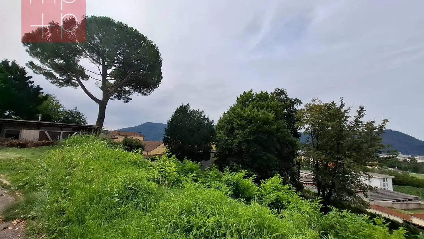 Bauland kaufen - 6833 Vacallo