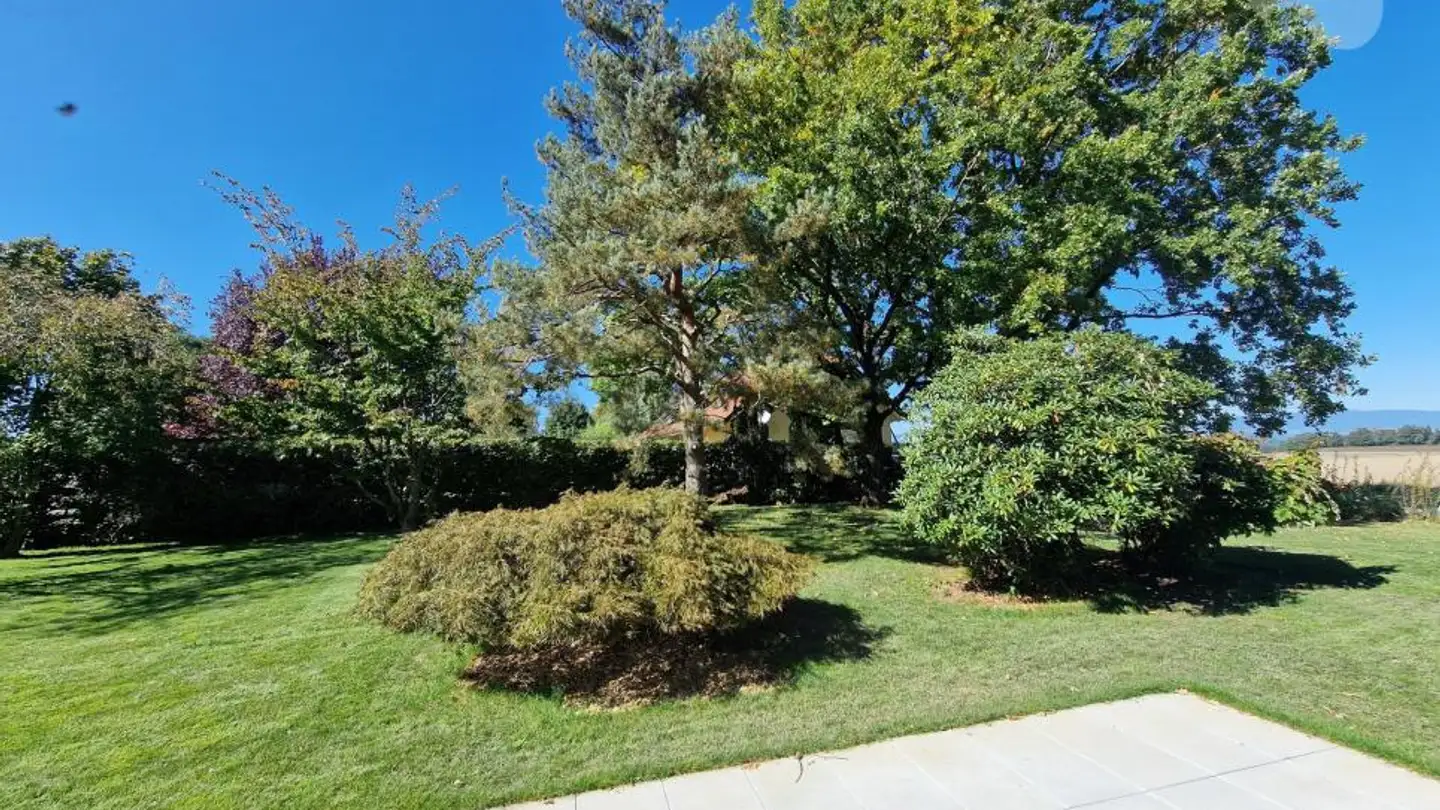 Appartement à vendre - Rue De Bellevue 13, 1038 Bercher