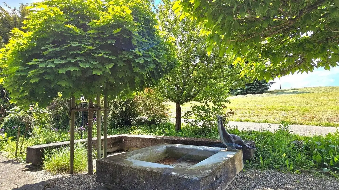 Villa in vendita - Höhenweg 11, 4657 Dulliken - Photo 3