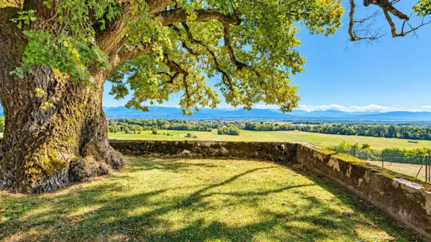 Casa bifamiliare in vendita - 1275 Chéserex