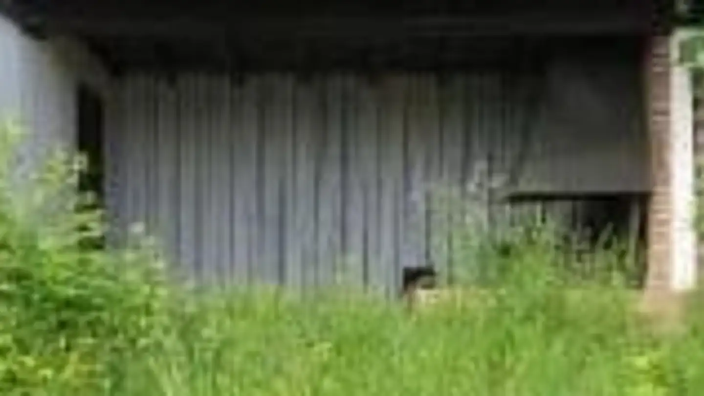 Maison jumelle à vendre - Brunnenwiese 48, 8132 Egg b. Zürich - Photo 4