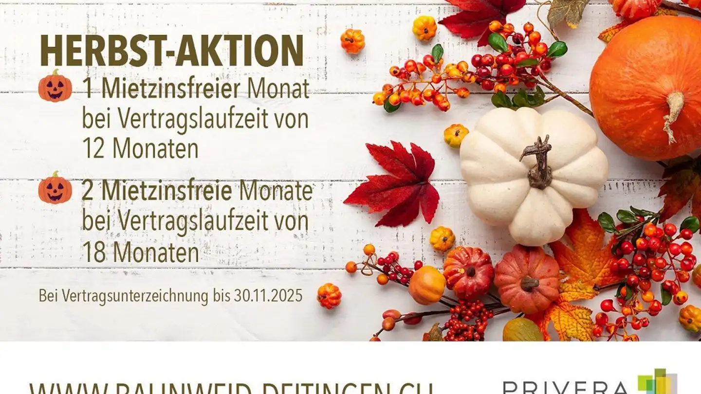 Wohnung mieten - Bahnweg 12, 4543 Deitingen