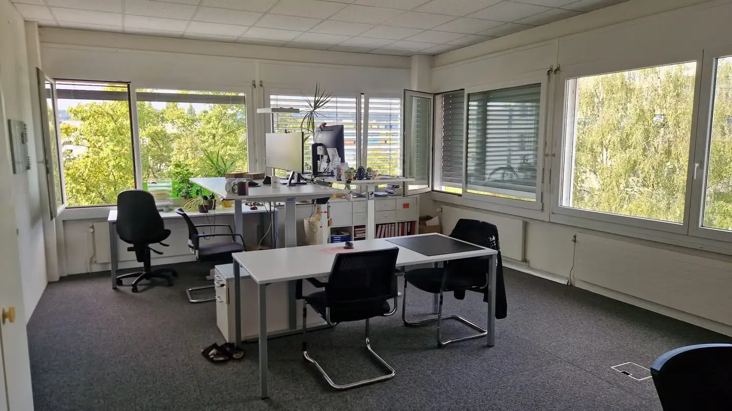 Bürofläche mieten - Eschenstrasse 6, 8603 Schwerzenbach - Foto 3