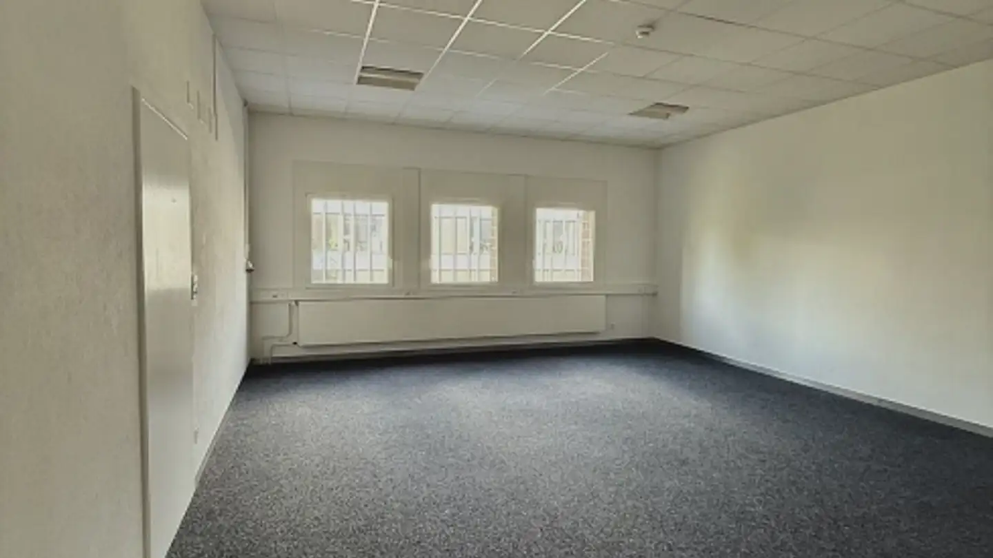 Office space for rent - Erlenweg 10, 6312 Steinhausen