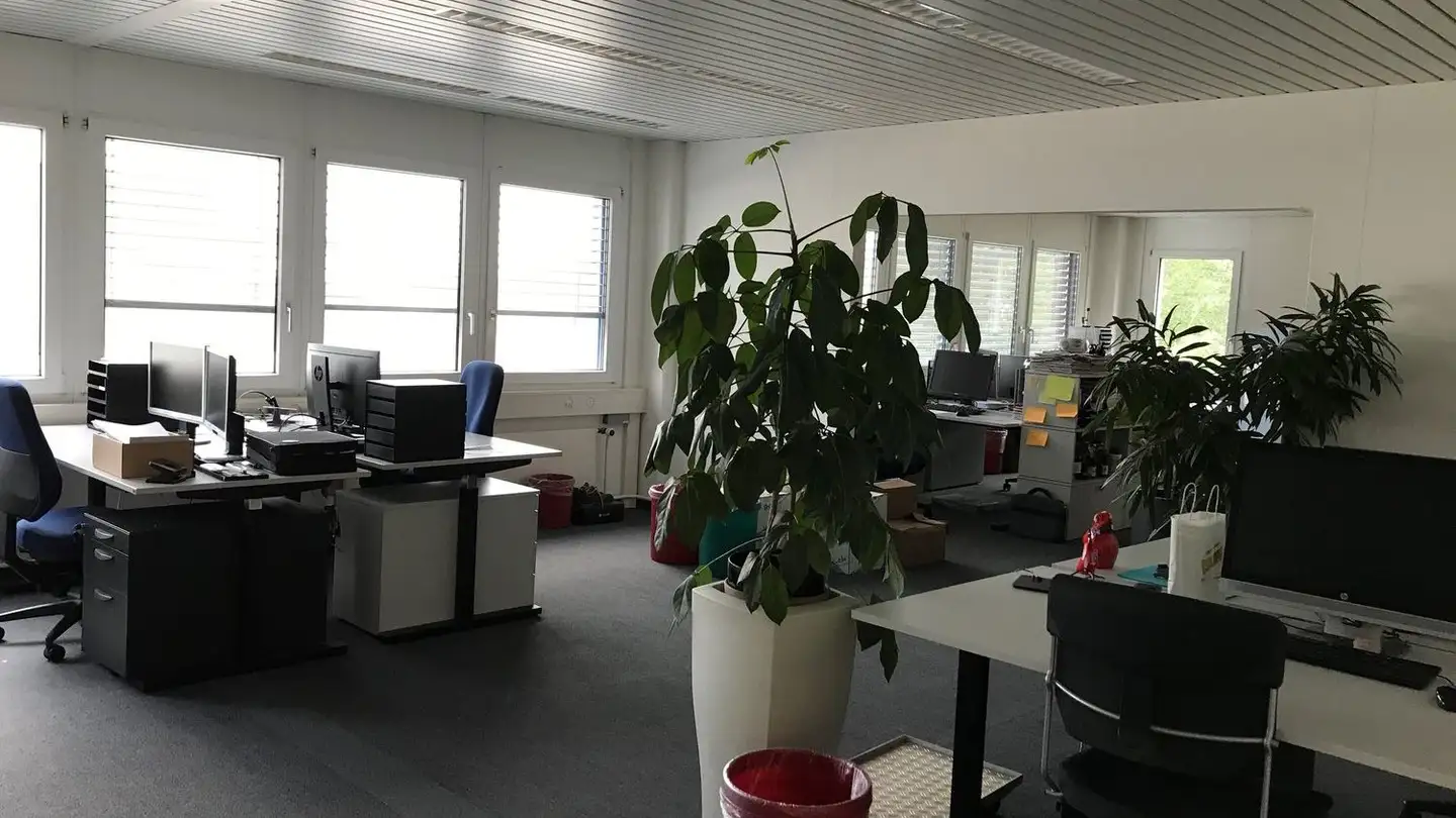Office space for rent - Gaswerkstrasse 6, 8952 Schlieren
