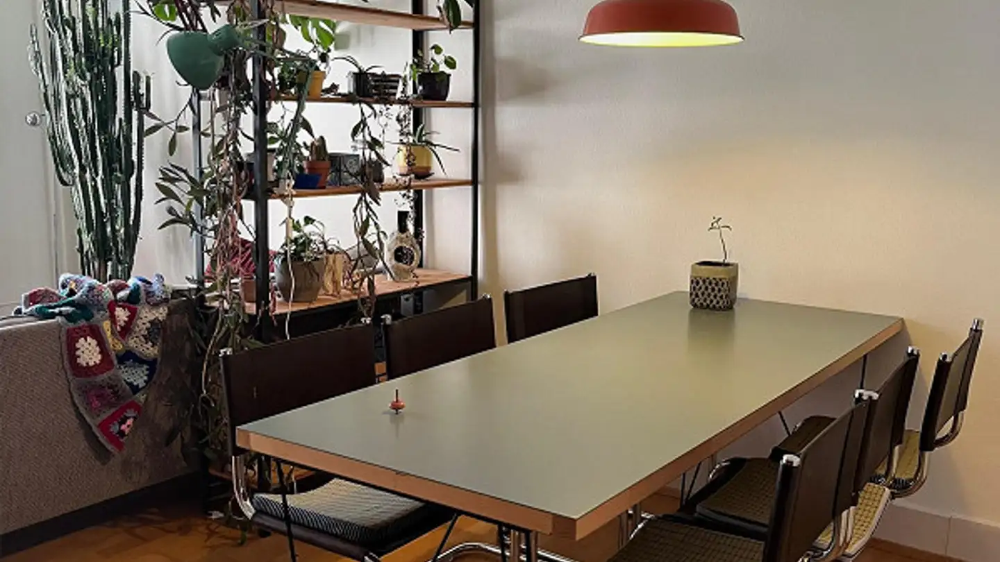 Möblierte Wohnung mieten - Wesemlinstrasse 20, 6006 Luzern - Foto 4