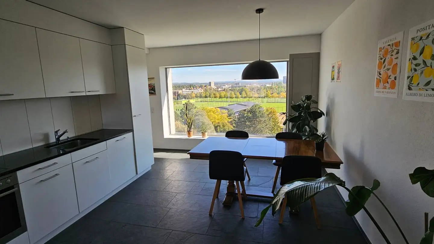 Appartamento in affitto - Grosswiesenstrasse 167, 8051 Zürich - Foto 2