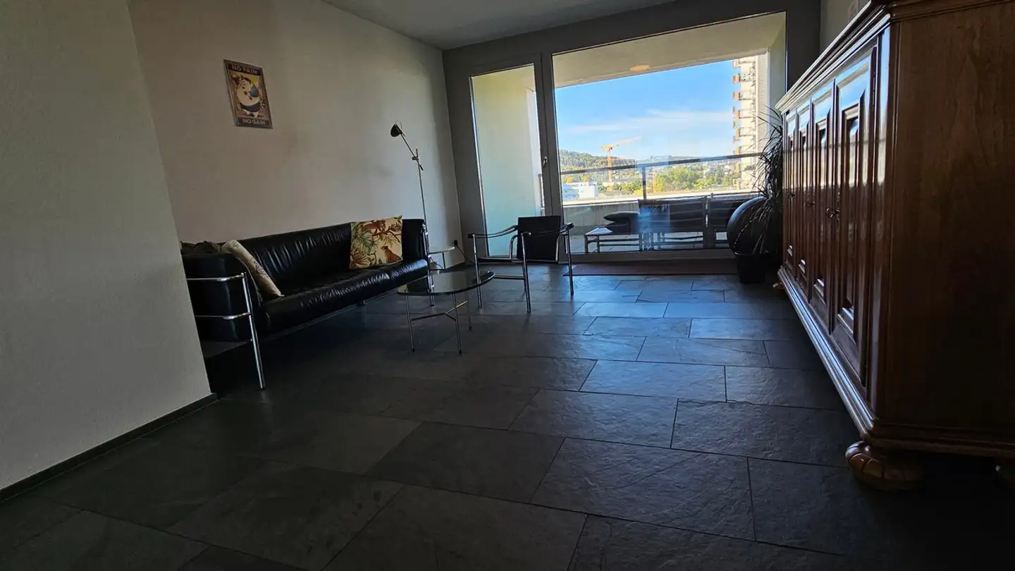 Appartamento in affitto - Grosswiesenstrasse 167, 8051 Zürich - Foto 4