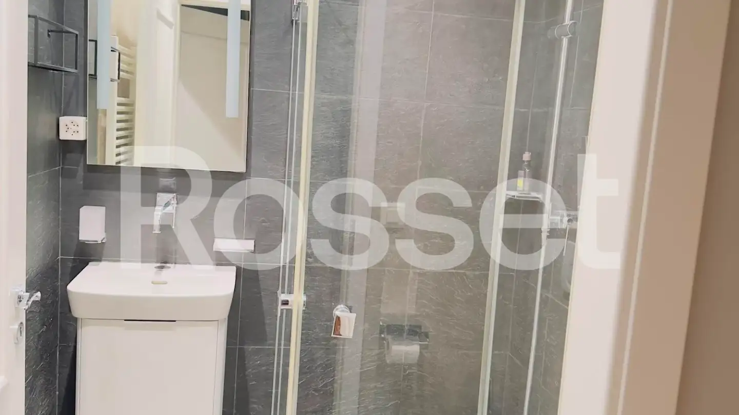 Appartement à louer - La Voie-Creuse 3, 1202 Genève - Photo 3