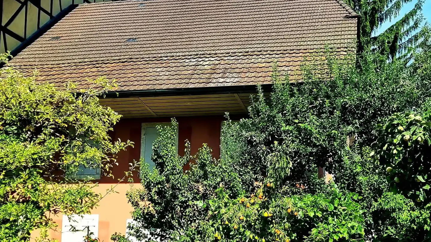 Appartement à louer - Graben 15, 3294 Büren an der Aare