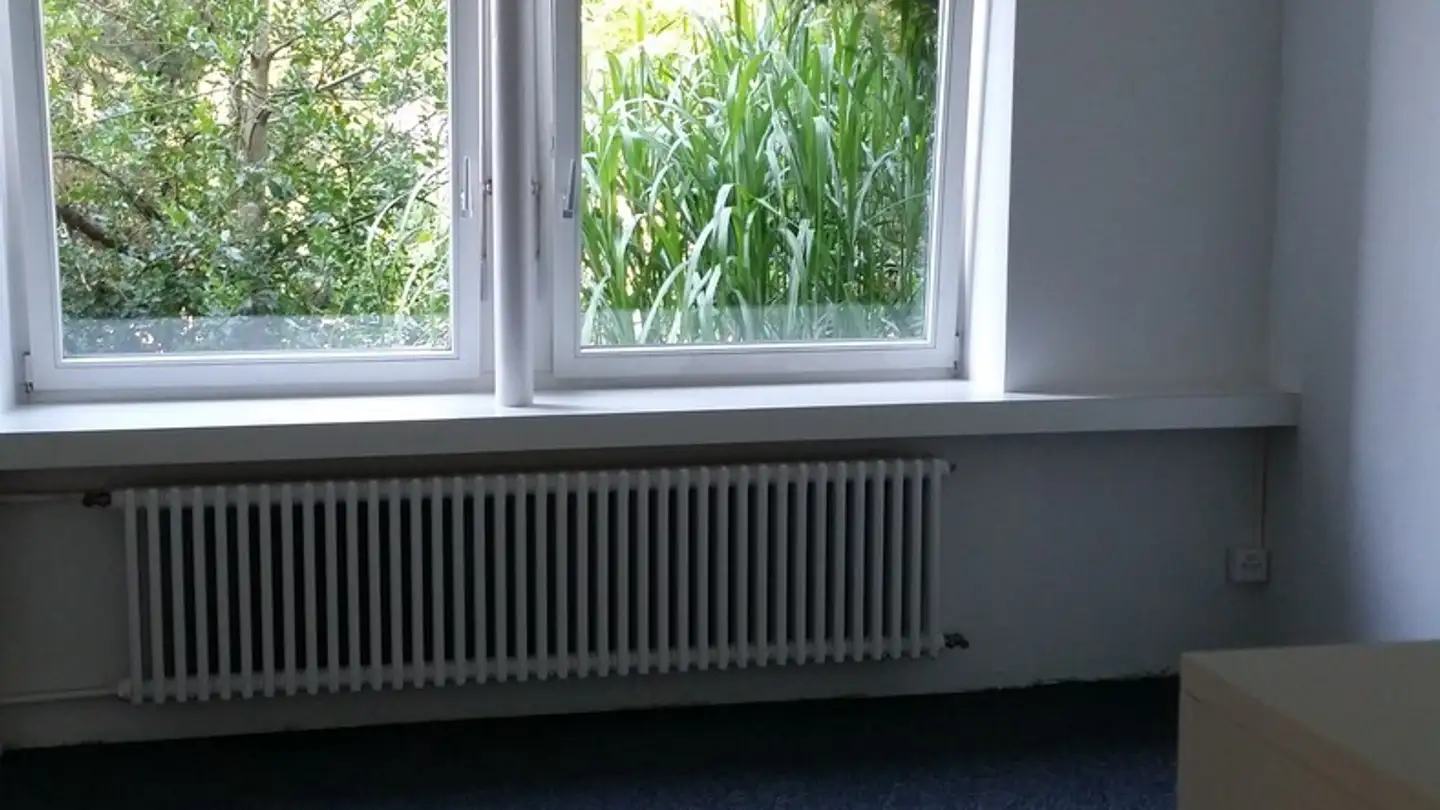 Appartamento in affitto - Schulhausstrasse 6, 4800 Zofingen - Foto 4