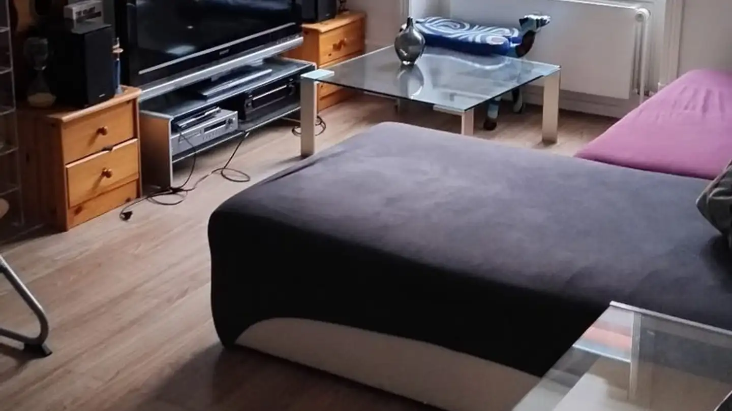 Chambre à louer - Claramattweg 13, 4057 Basel