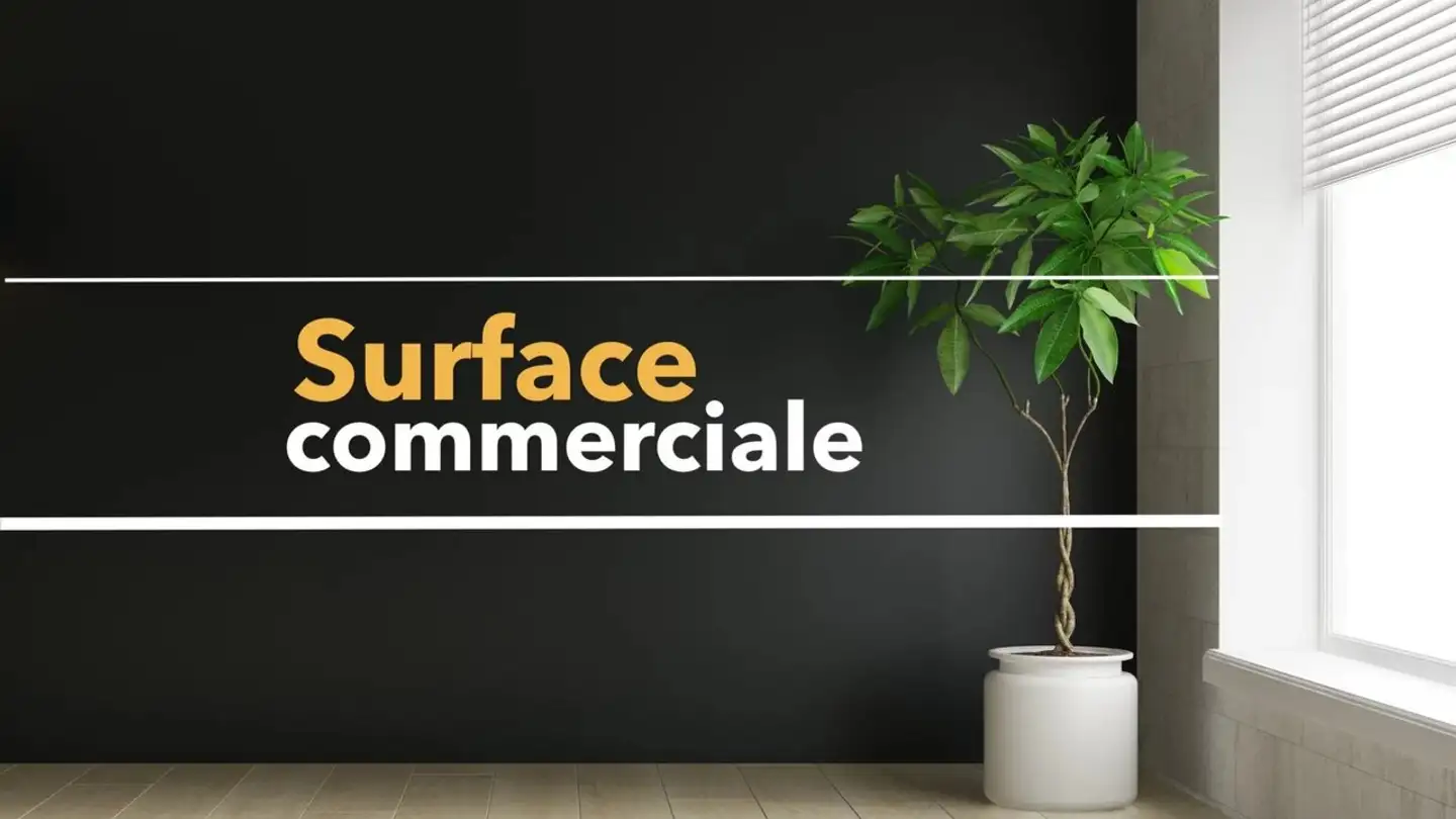 Magasin à louer - 3960 Sierre