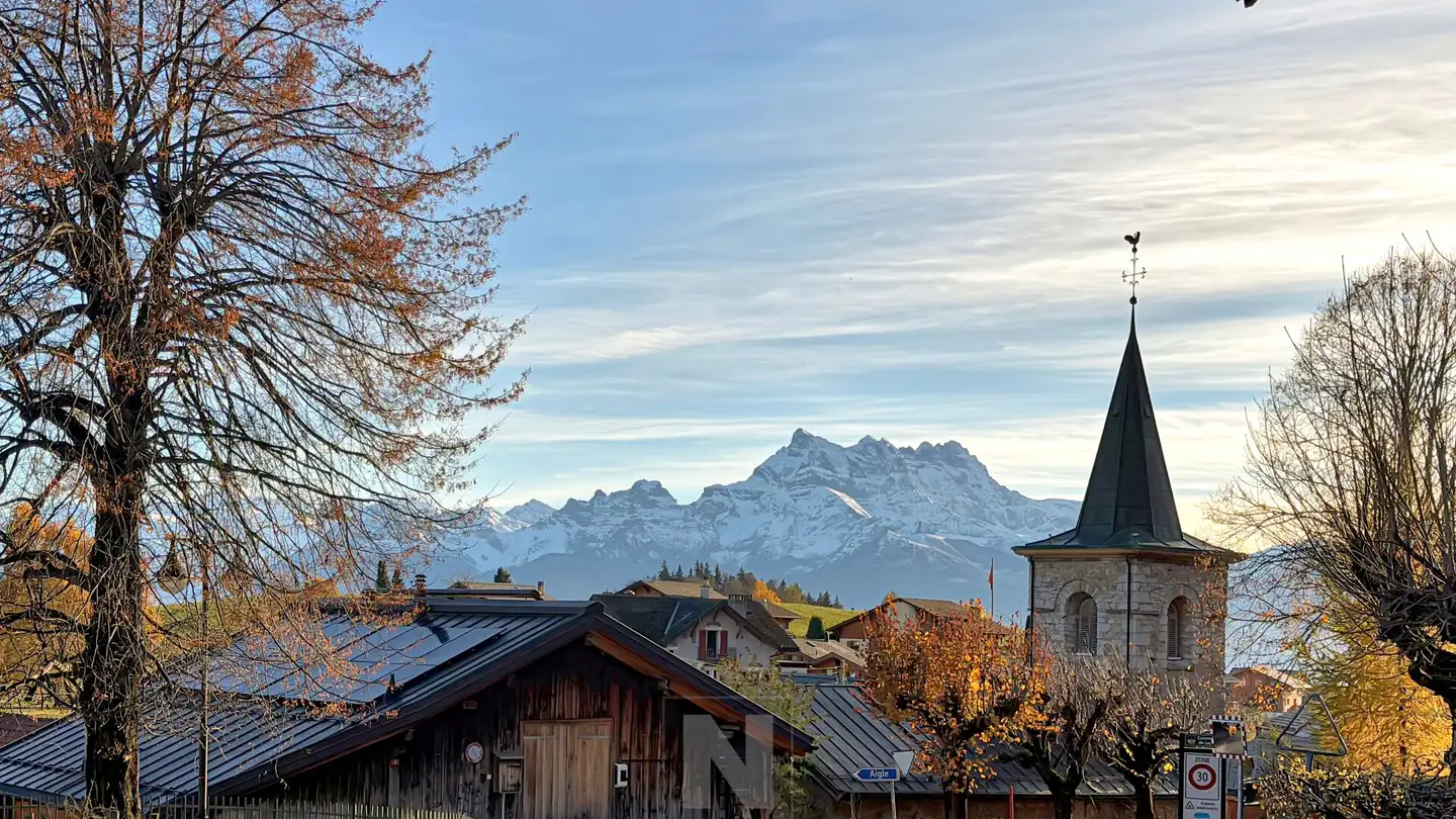 Chalet à vendre - Route De Prélan, 1854 Leysin - Photo 2