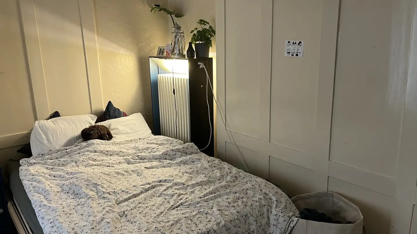 Single room for rent - Jägerstrasse 41, 8406 Winterthur
