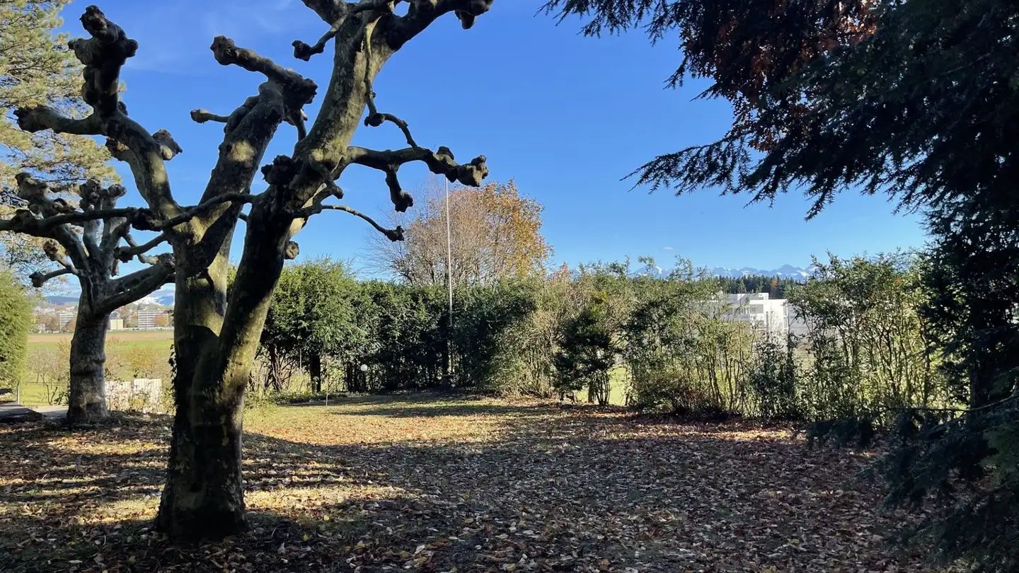 Villa in vendita - Hintere Dorfgasse 14, 3073 Gümligen - Photo 3