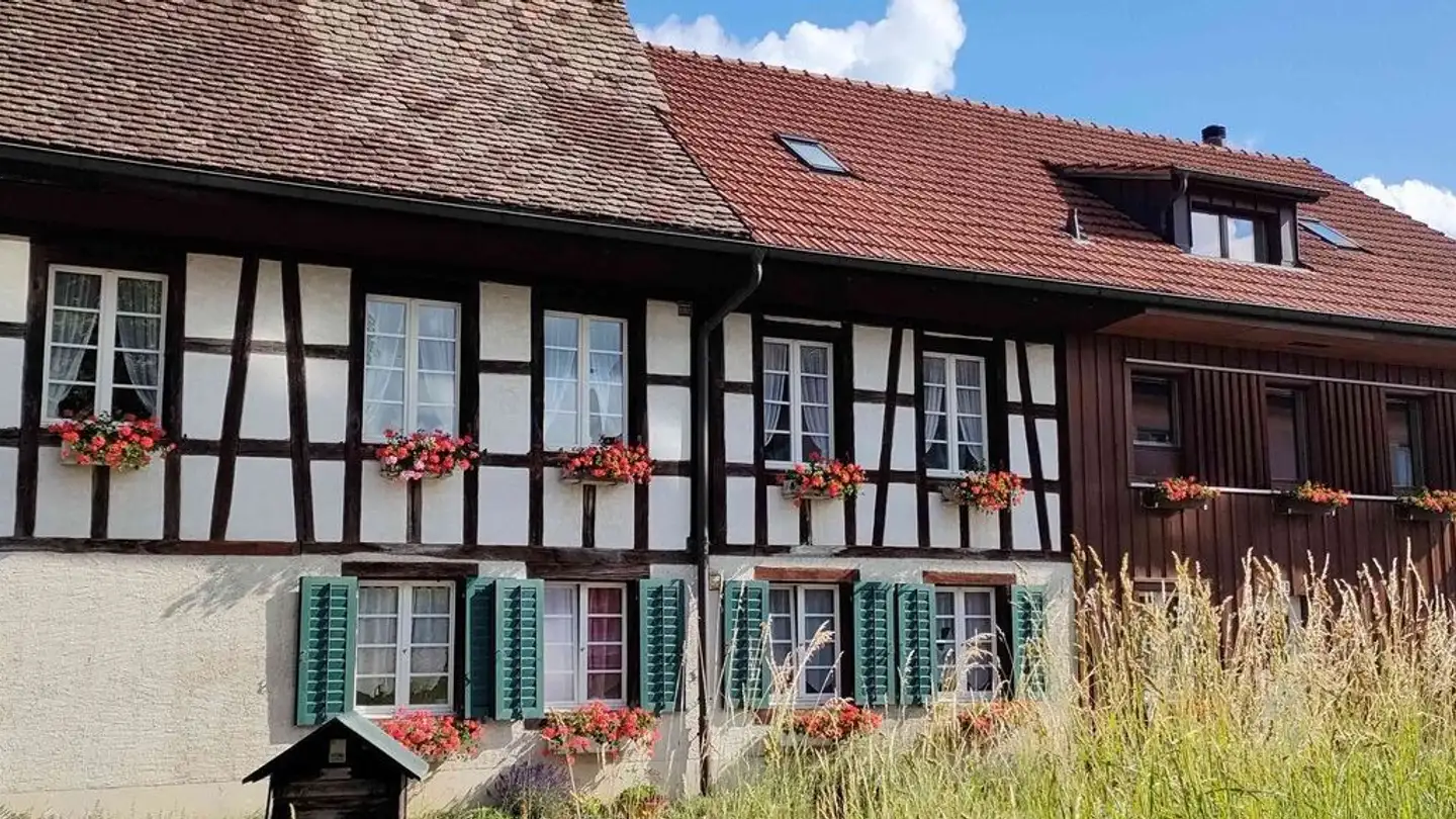 Appartement à louer - Mülihaldenstrasse 7, 8545 Rickenbach ZH