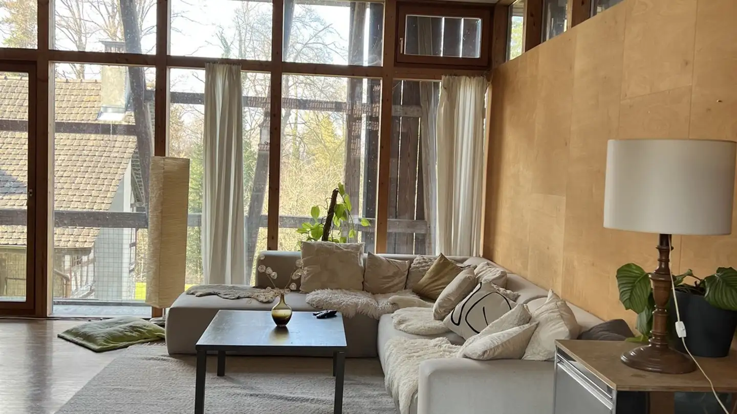 Chambre à louer - Oberoppikon, 9565 Oppikon