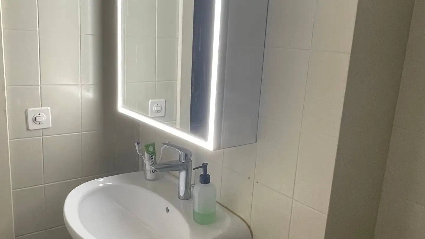 Apartment for sale - Grand-Rue 28, 1623 Semsales - Photo 3