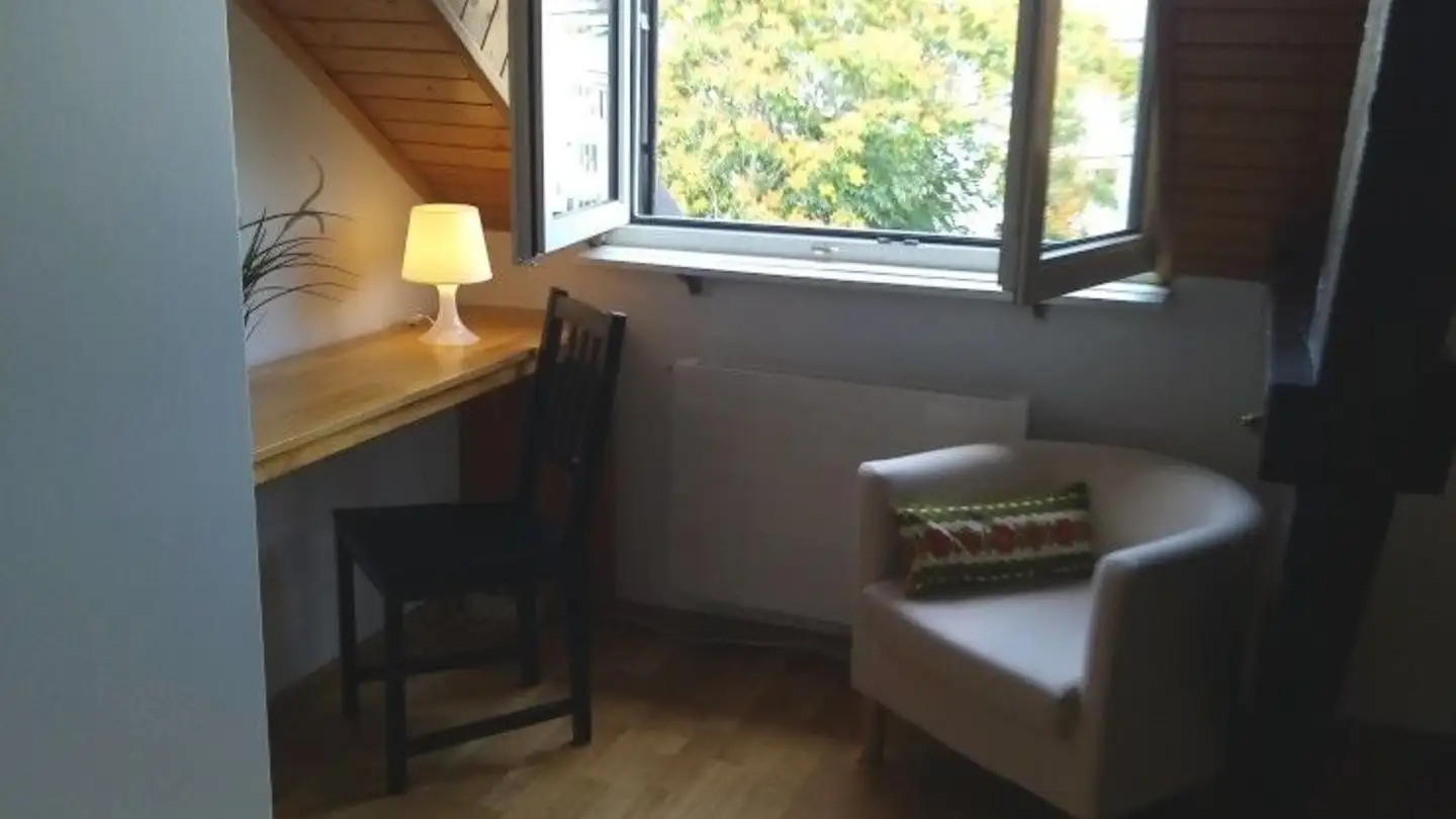 Single room for rent - Färberstrasse, 4057 Basel - Photo 4