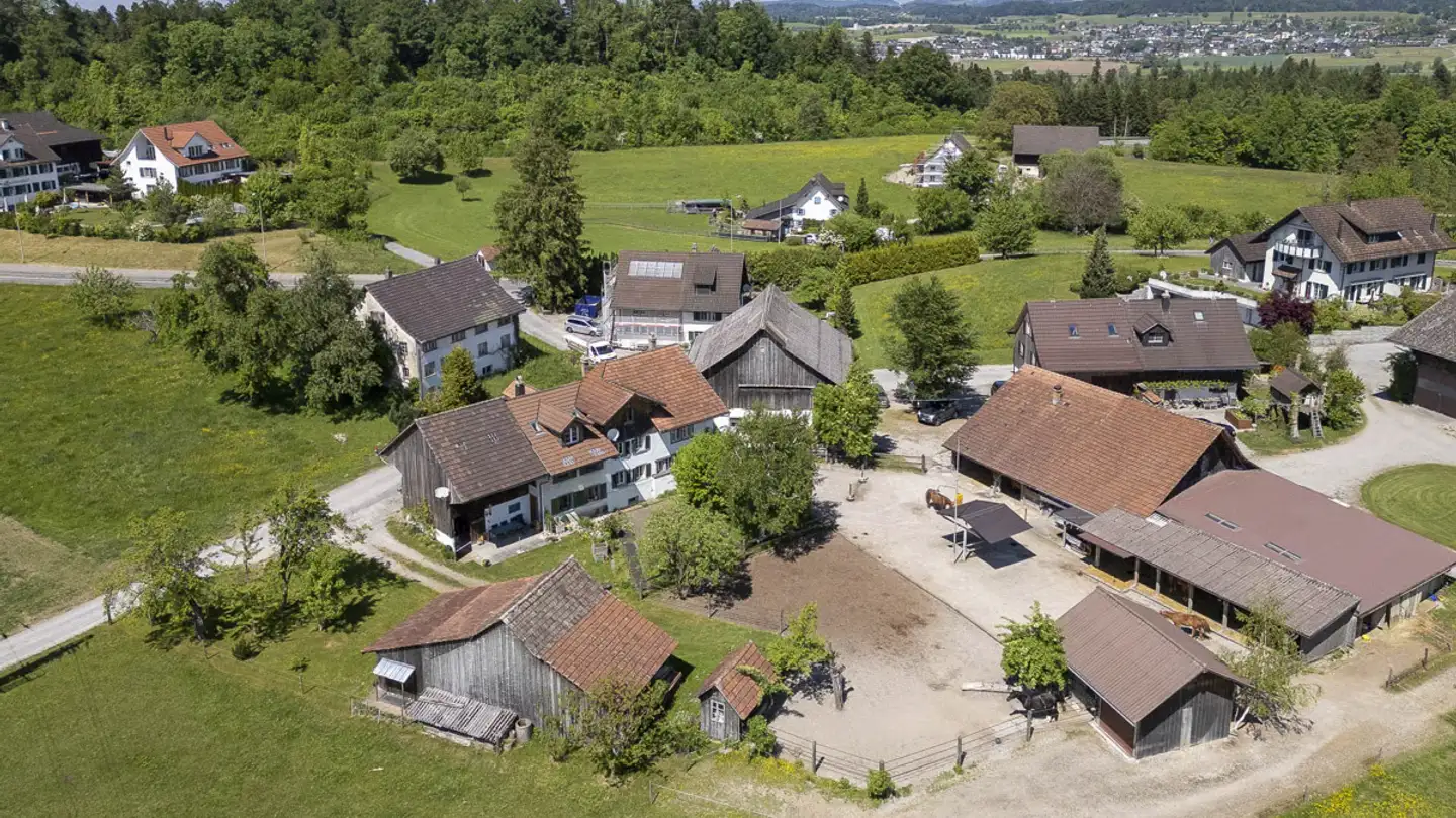 Maison individuelle à vendre - Bächelsrüti 37, 8627 Grüningen - Photo 4