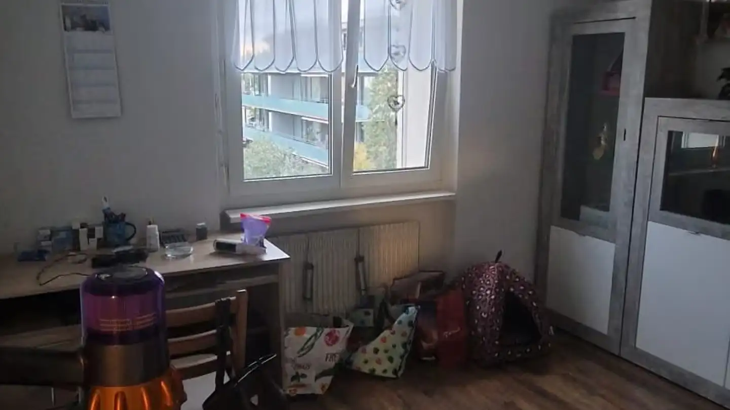 Appartement à louer - Lehnenweingarten 9, 8592 Uttwil - Photo 3
