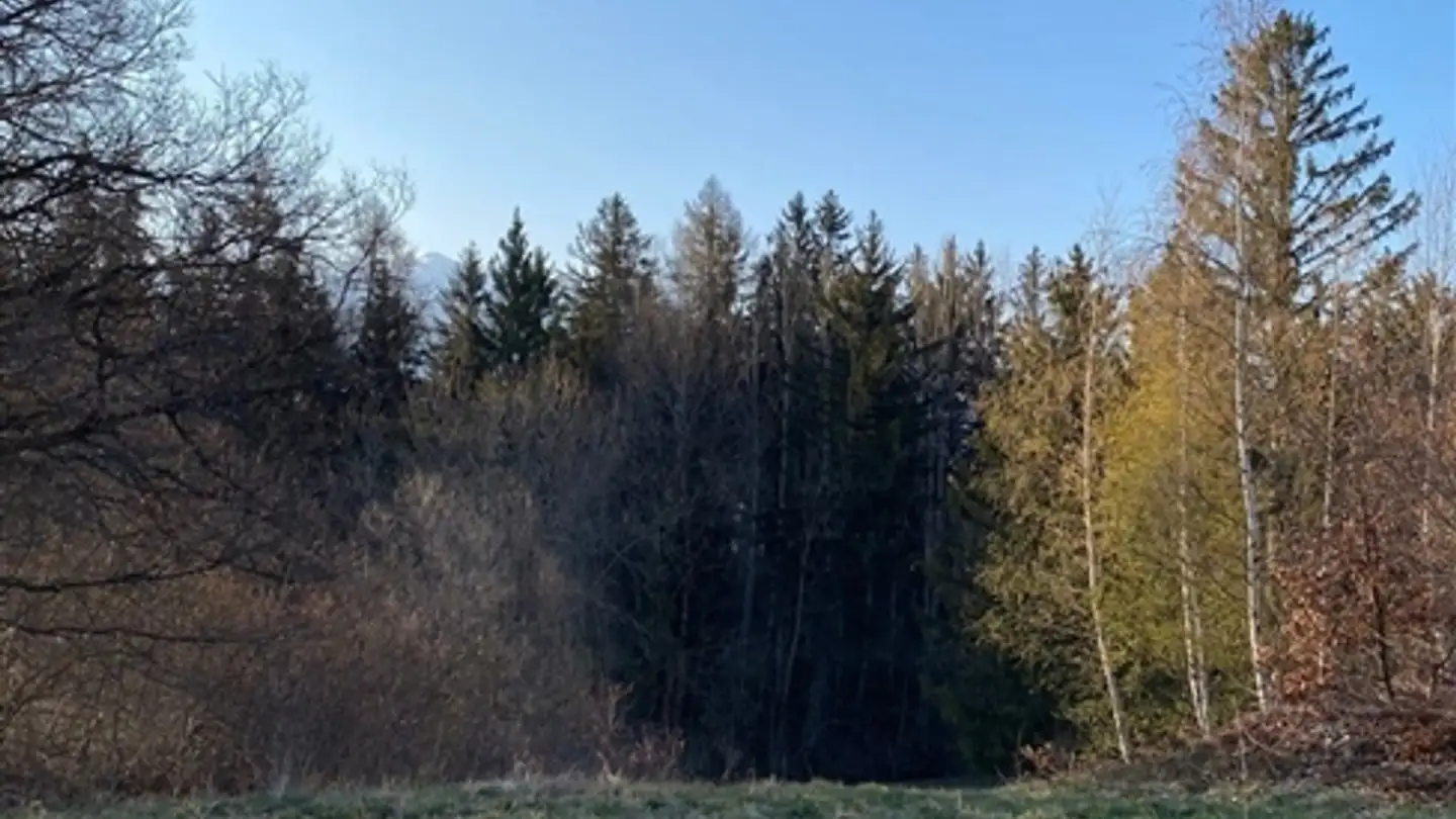 Apartment for sale - 1974 Arbaz - Photo 4