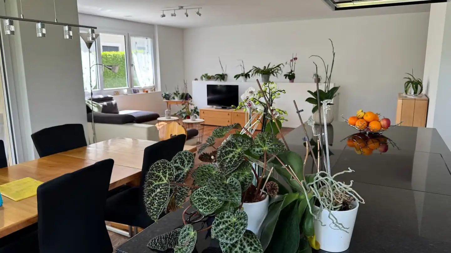 Apartment for rent - Florahof 9, 8353 Elgg - Photo 4