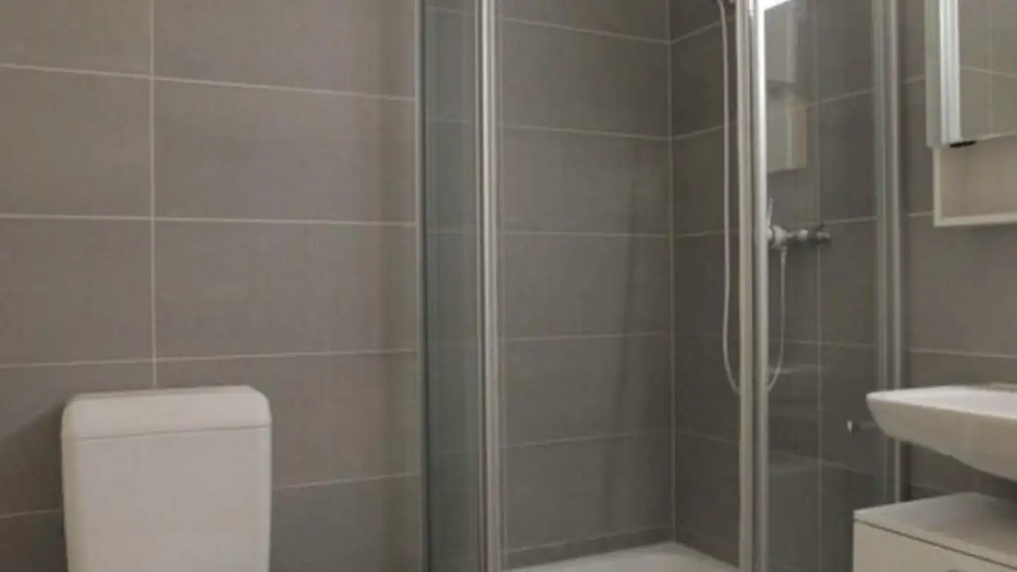 Loft for rent - Rue De Genève, 1225 Chêne-Bourg - Photo 2