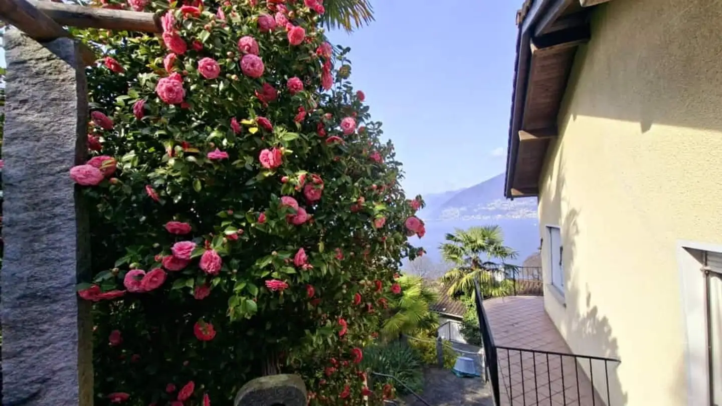 Maison individuelle à vendre - Sentiero Orgnana 6, 6573 Magadino - Photo 2