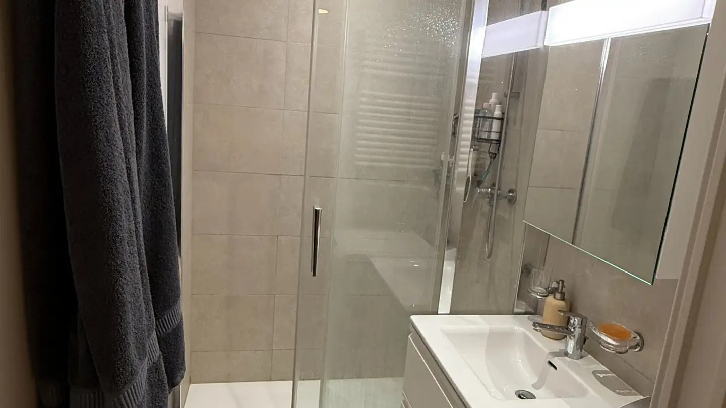 Appartamento in affitto - Rue Des Voisins 3, 1205 Genève - Foto 3