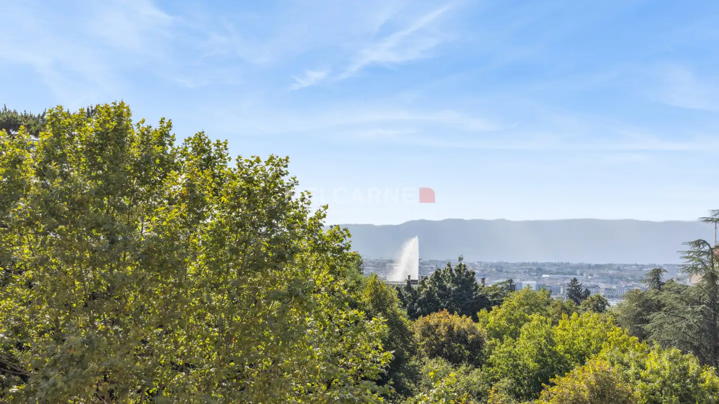 Appartement à vendre - 1208 Genève