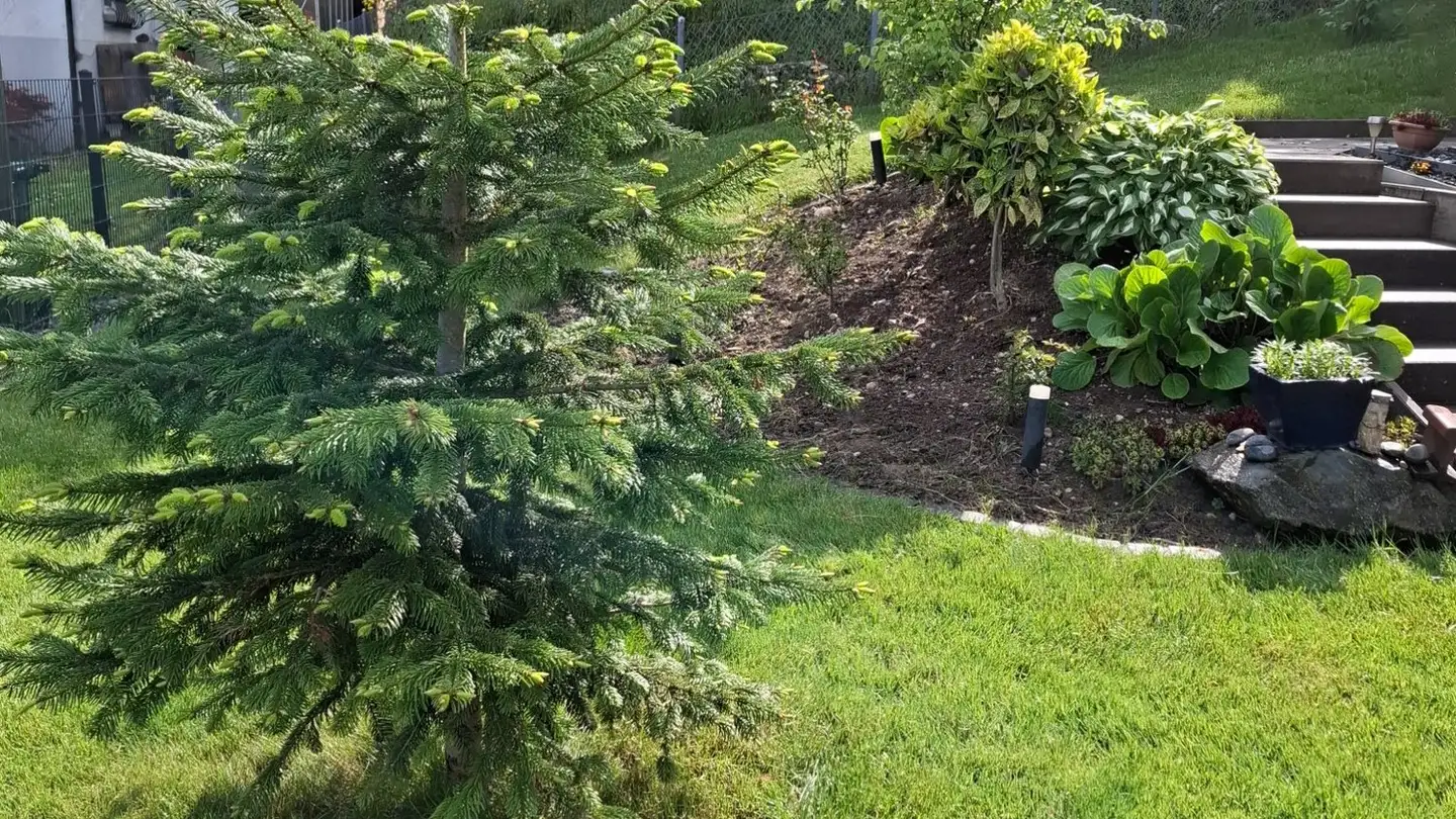 Single house for rent - Breidensteinweg 21, 2540 Grenchen - Photo 4