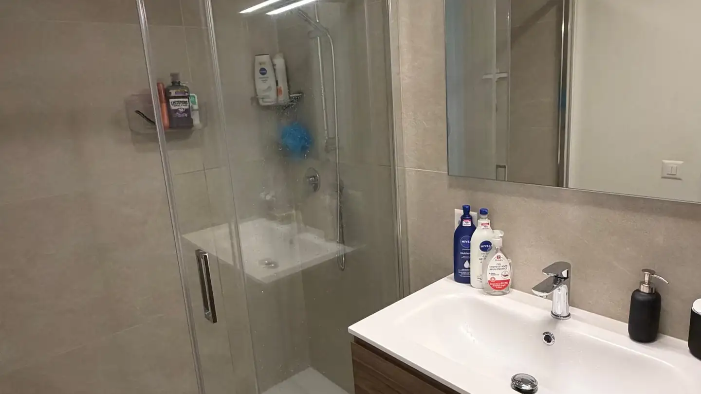 Appartement à louer - Via Lisora 3, 6998 Monteggio - Photo 4