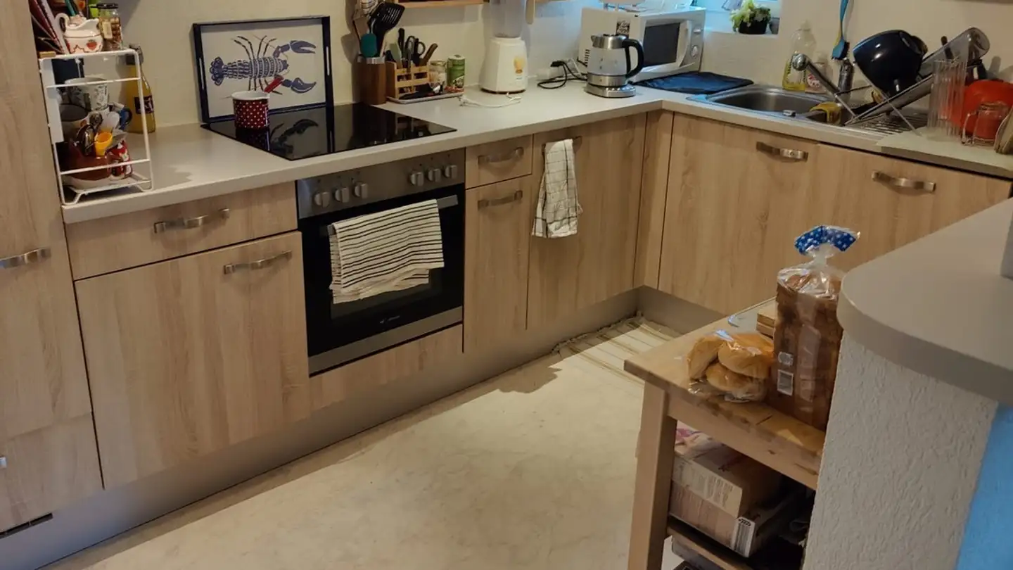 Wohnung mieten - Chemin De La Chesaude 40, 1072 Forel (Lavaux)