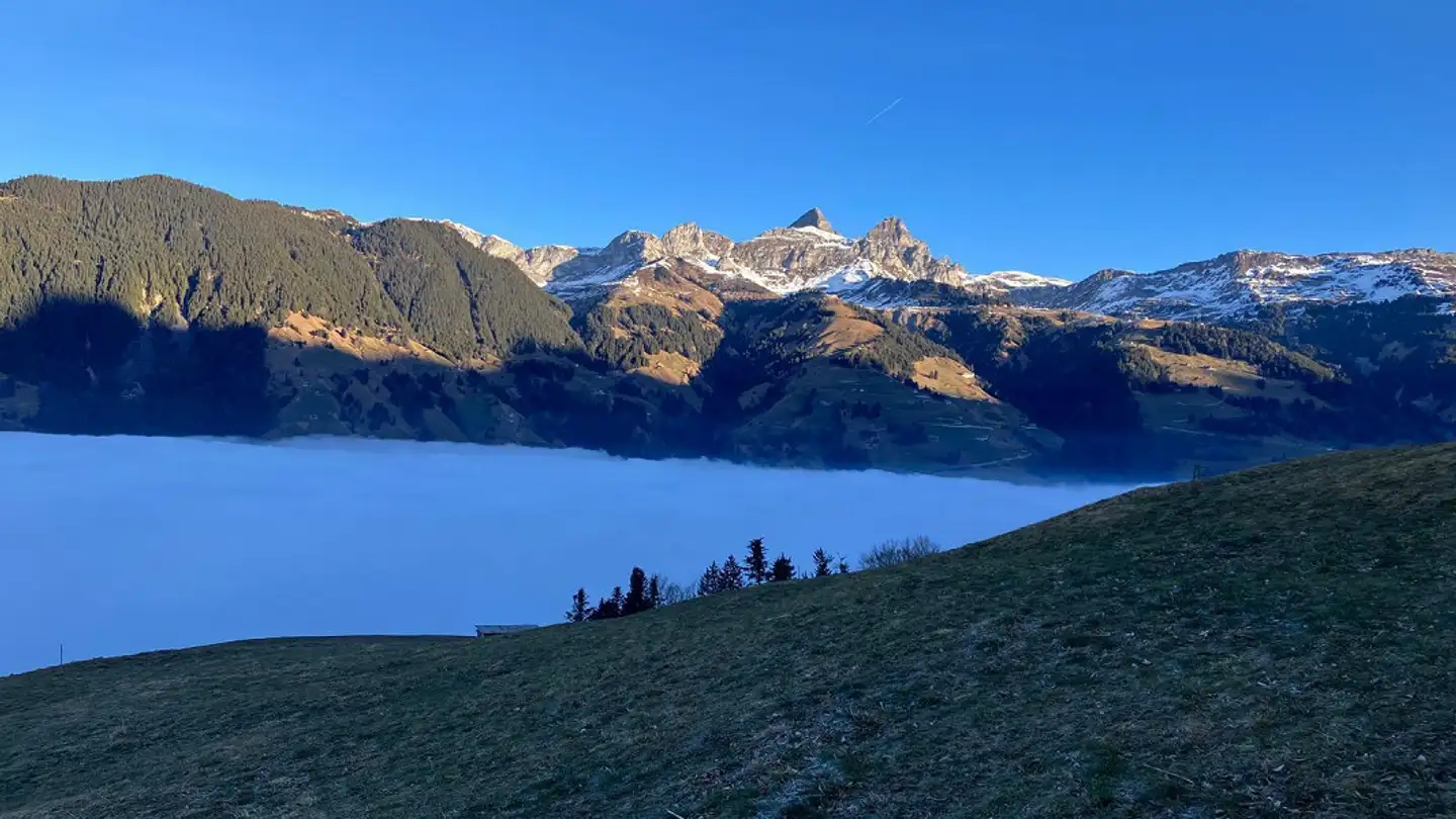 Constructible plot for sale - Haldistrasse 33, 6469 Haldi b. Schattdorf