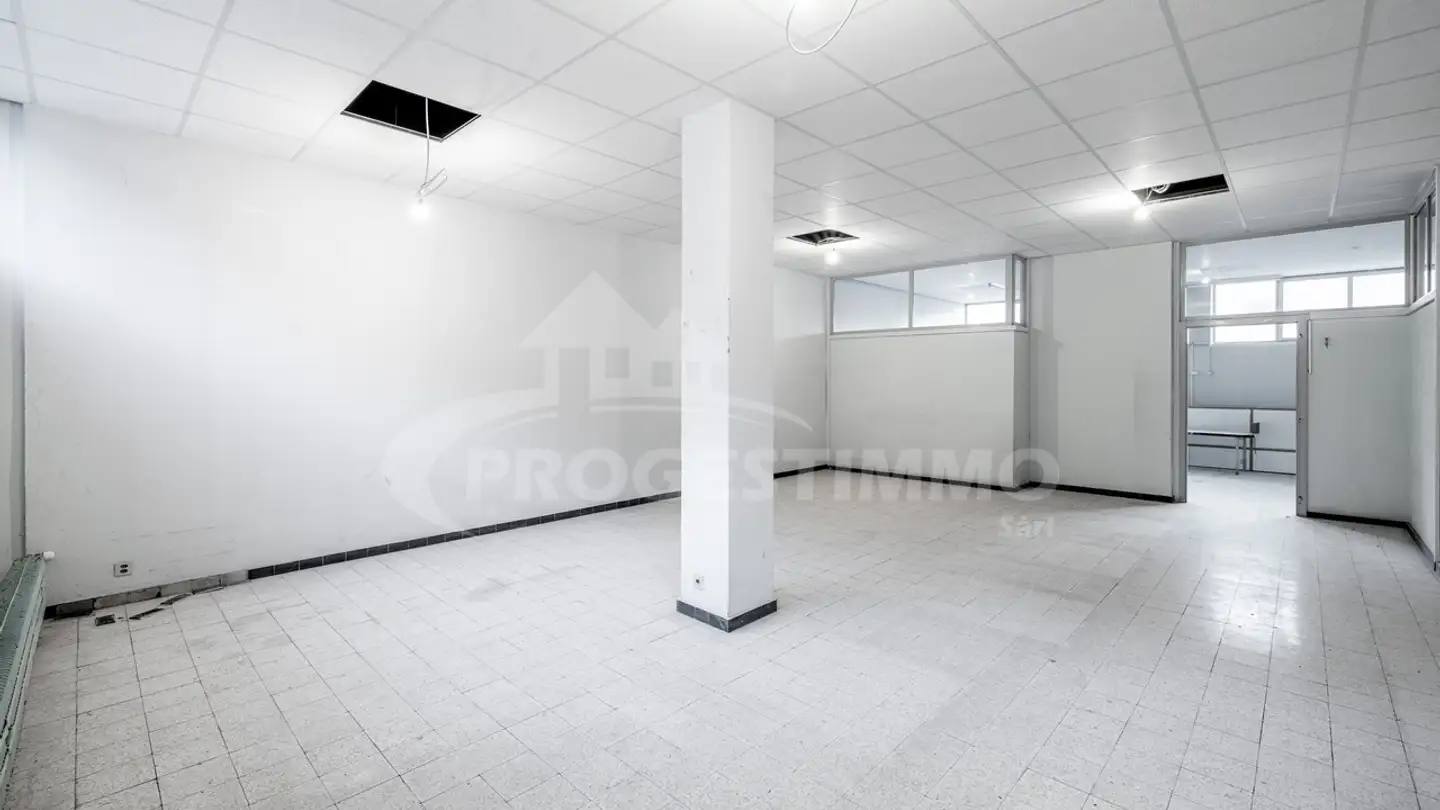 Gewerbe kaufen - 1950 Sion