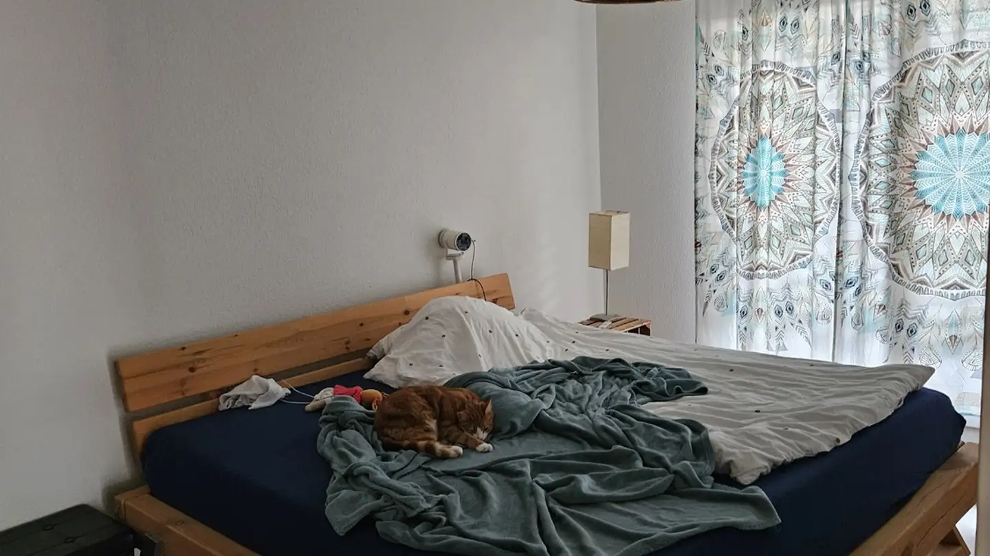 Zimmer mieten - Ritschbergstrasse 25, 8353 Elgg - Foto 2