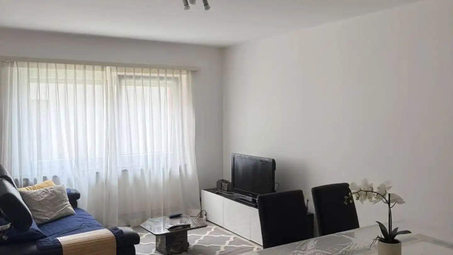 Appartamento in affitto - Viale Moesa 56, 6517 Arbedo