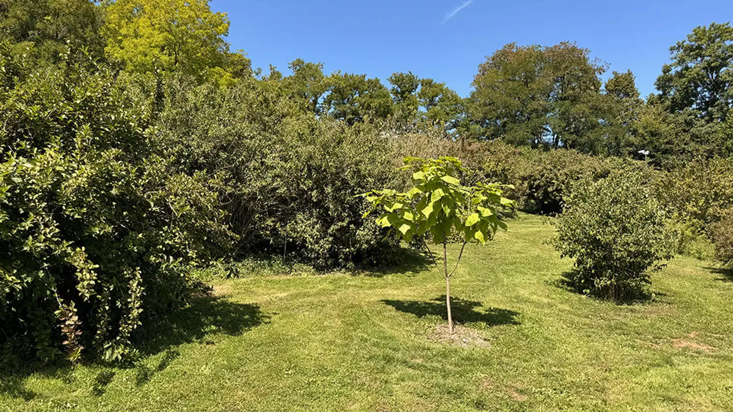 Maison individuelle à vendre - 5400 Baden