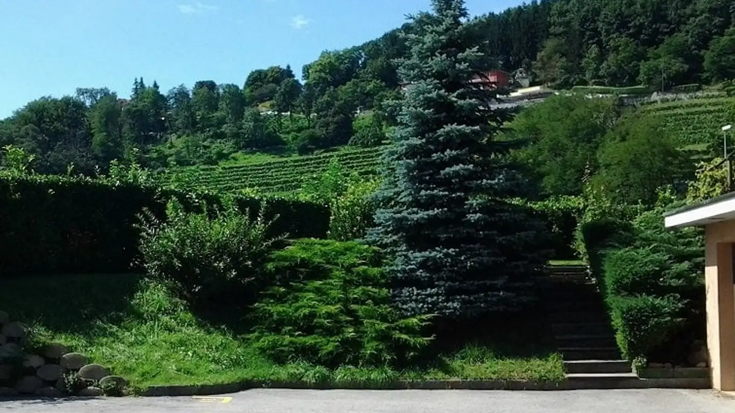 Appartement à louer - Via Passeggiata 11B, 6853 Ligornetto