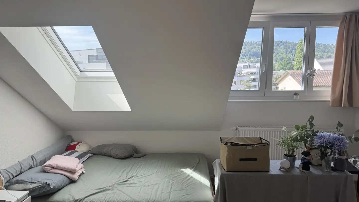 Appartamento in affitto - Riedthofstrasse, 8105 Regensdorf