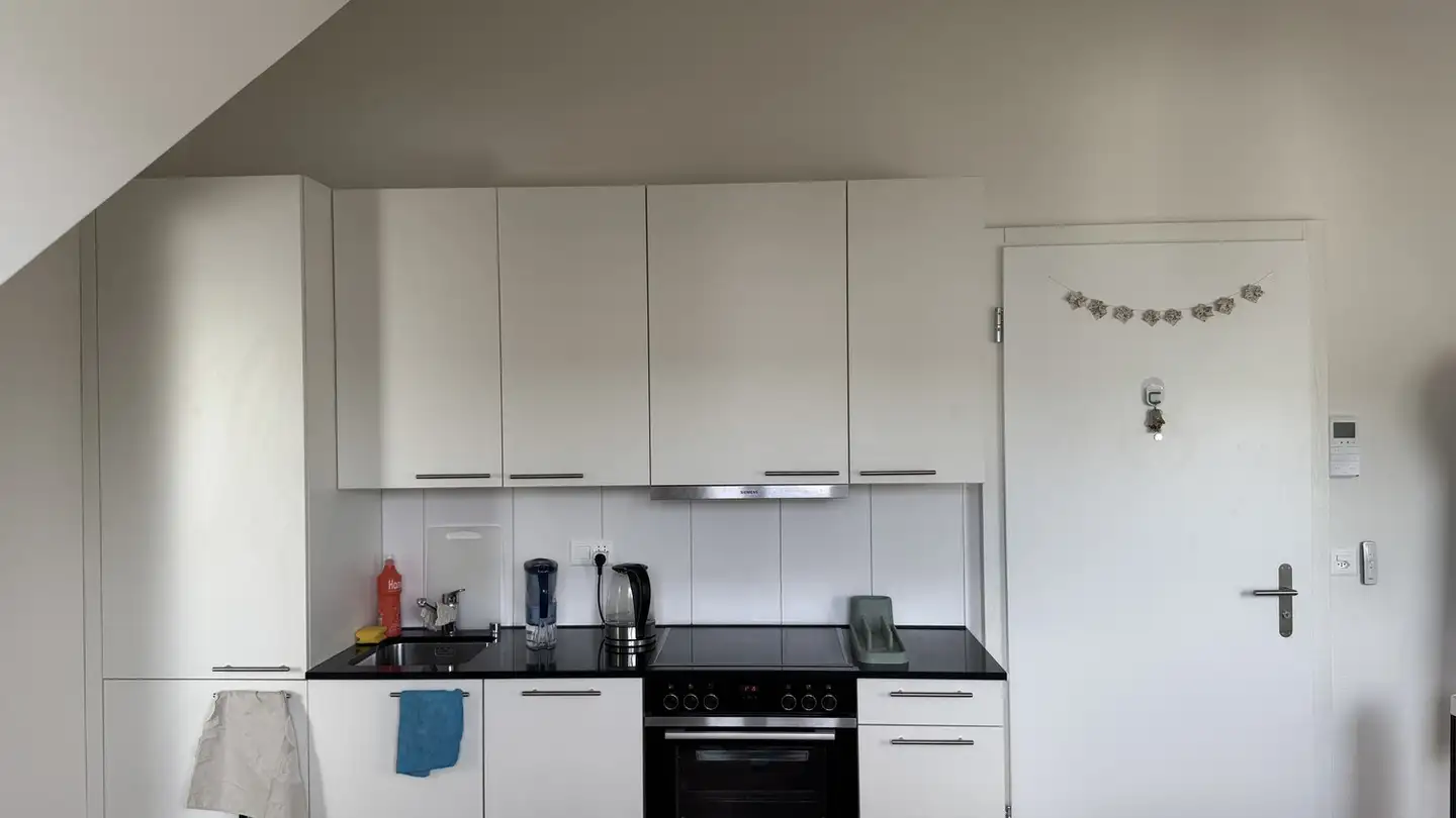 Appartamento in affitto - Riedthofstrasse, 8105 Regensdorf - Foto 3