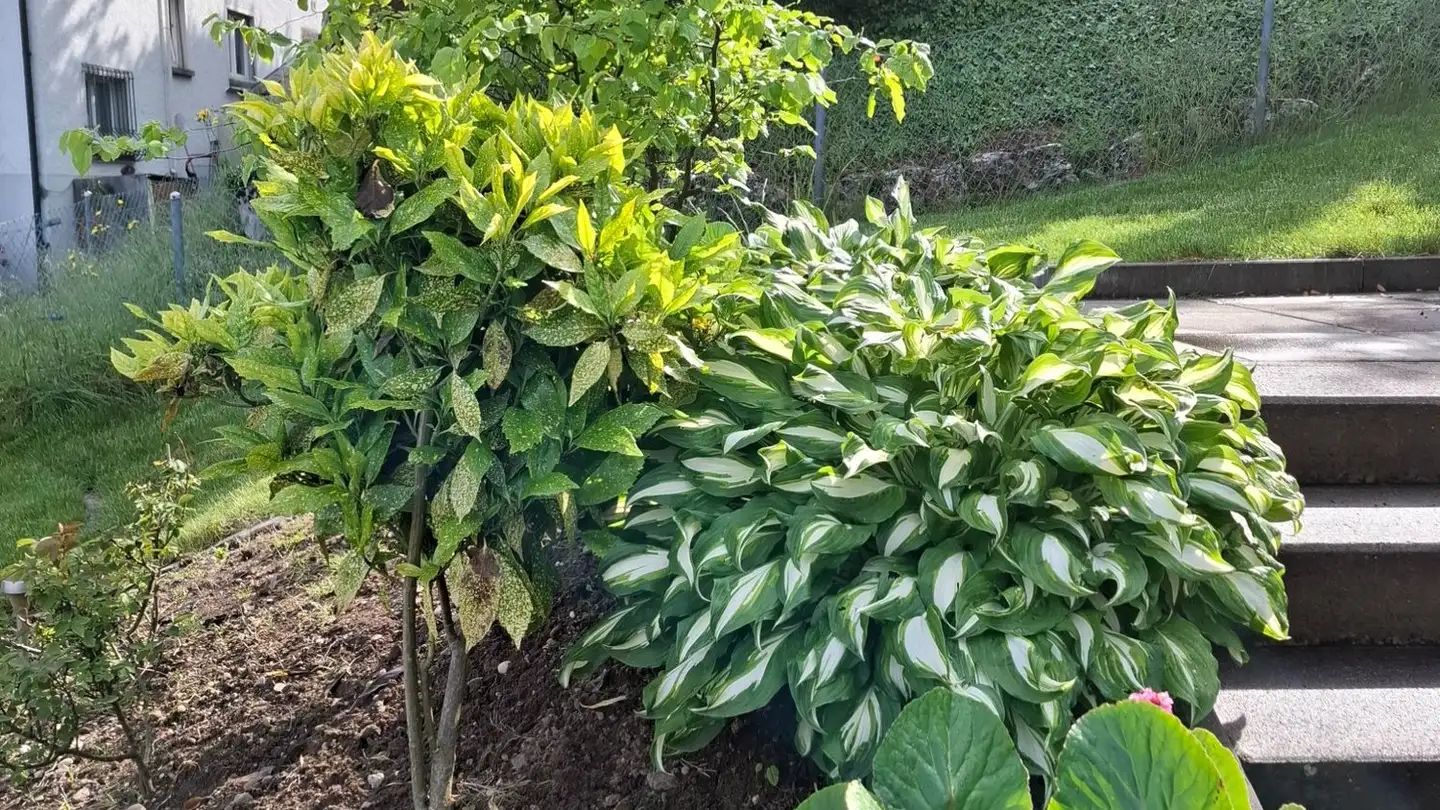 Single house for rent - Breidensteinweg 21, 2540 Grenchen - Photo 2