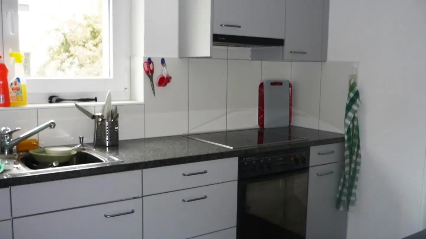 Wohnung mieten - Letzigraben 245, 8047 Zürich - Foto 2