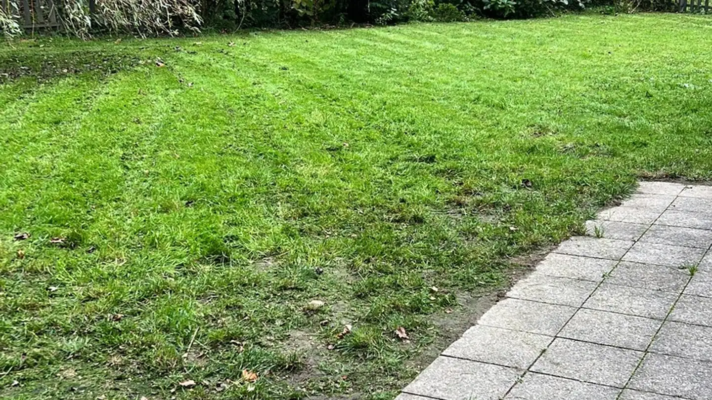 Wohnung mieten - Büttenenhalde 68b, 6006 Luzern - Foto 3