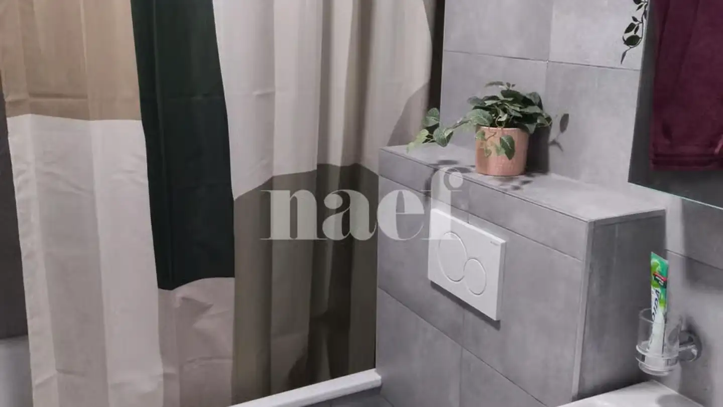 Apartment for rent - Rue De Grise-Pierre 9, 2000 Neuchâtel - Photo 4