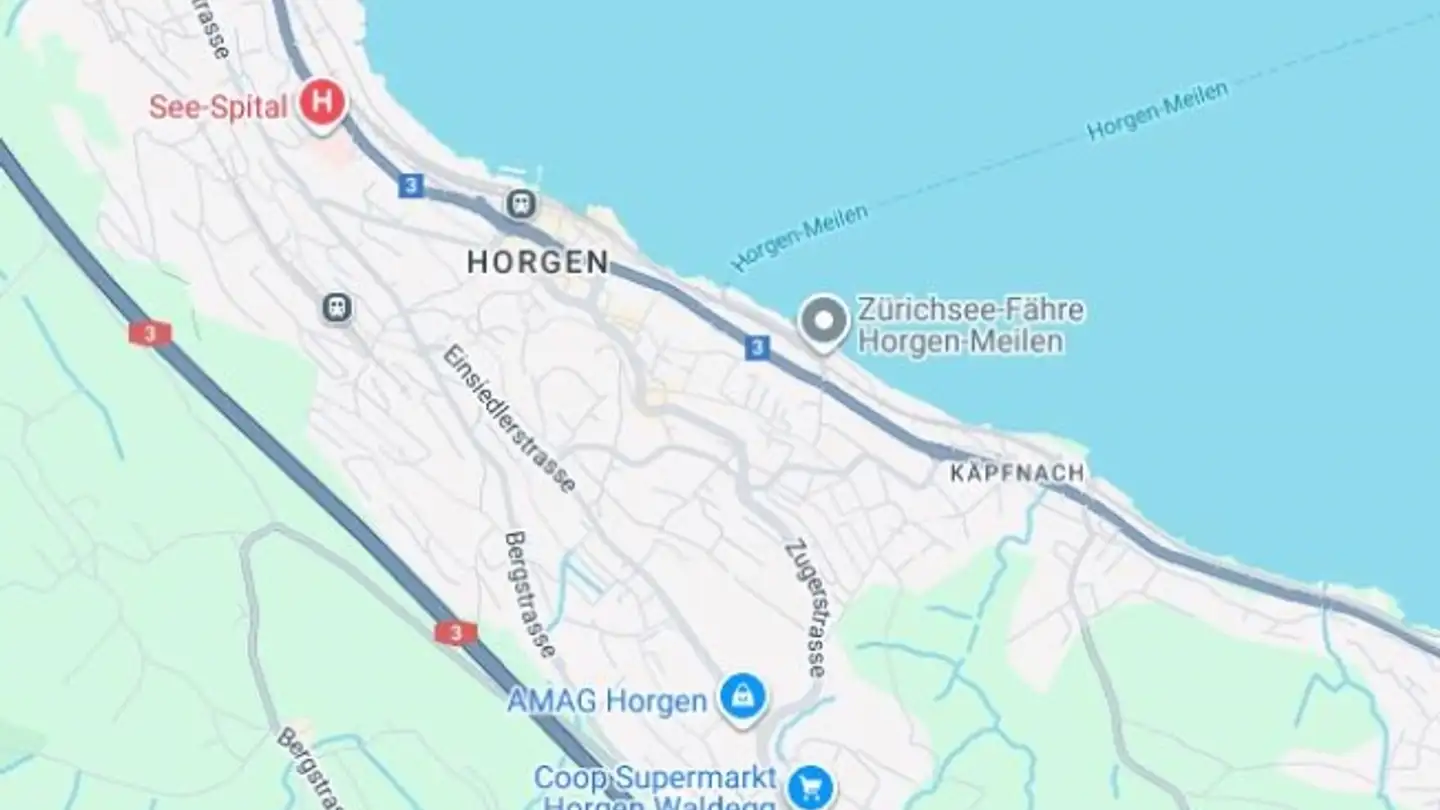 Appartamento in vendita - 8810 Horgen